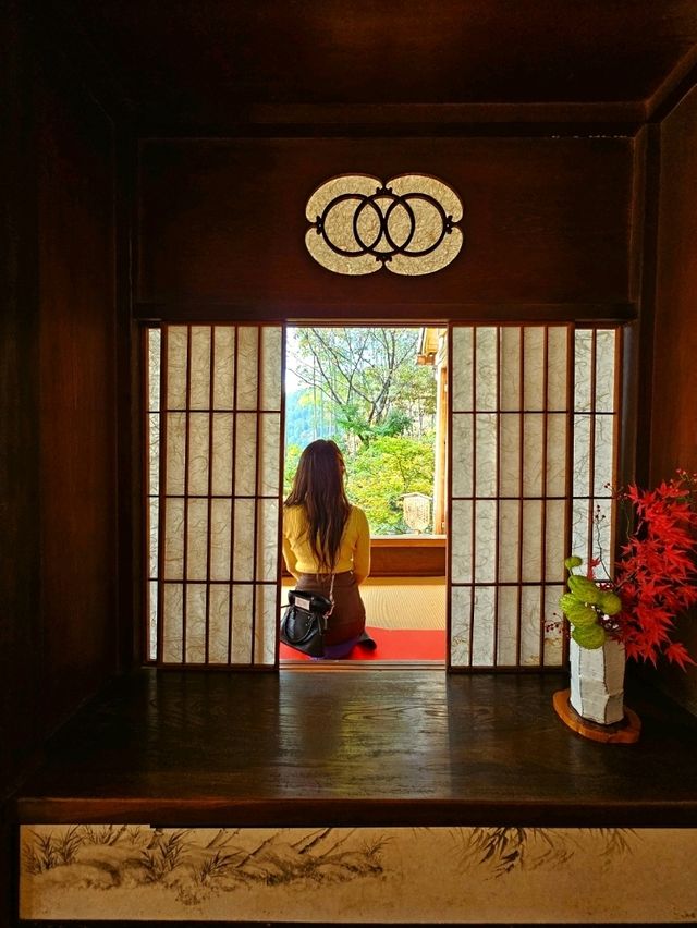【京都/紅葉スポット】樹齢700年！１度はみたい、神秘的な五葉松🍁