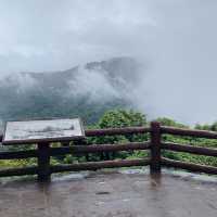 อุทยานแห่งชาติเขาใหญ่ | KHAO YAI National Park 