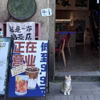 深圳特色餐飲店分享 — 朋友家 （甘坑古鎮店）