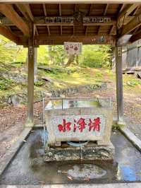 【軽井沢】切り絵の御朱印がもらえる諏訪神社✨