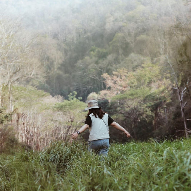 อ่างเก็บน้ำห้วยสามขา 🌱🍃 @MaeTha, Lampang