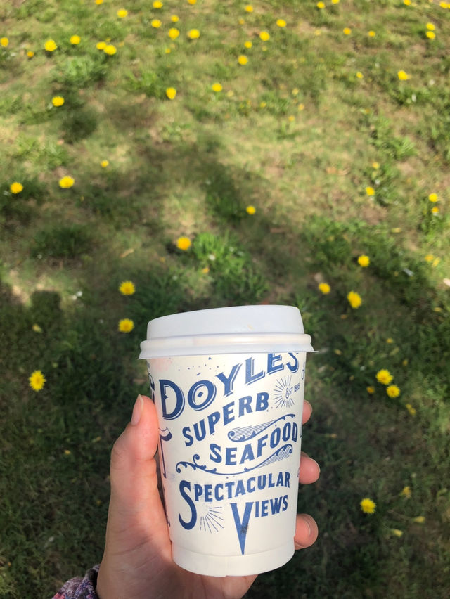 시드니 감성 현지데이트 컨셉으로 즐기는 나만의 코스 🌼🌸