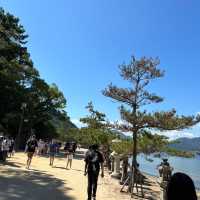 【広島】世界遺産・日本三景の宮島⛩️