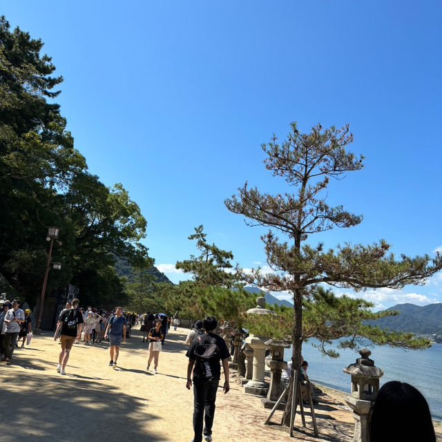 【広島】世界遺産・日本三景の宮島⛩️