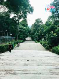 🇸🇬 Berry welcome to Bukit Batok Nature Park