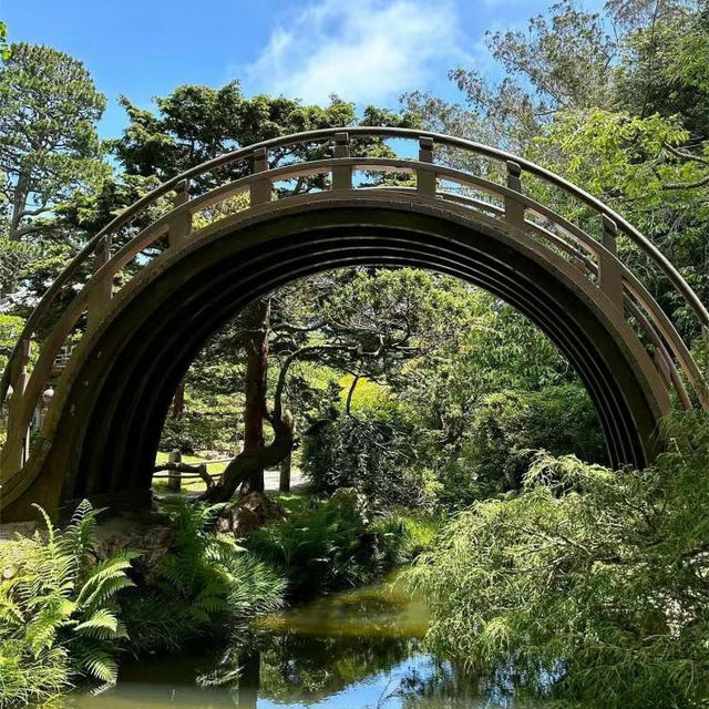 善學院：靜謐避風港 🍃⛩️