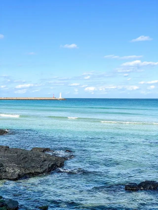 세화해변 티켓 할인, 운영 시간, 후기 [2025년] | Trip.com