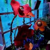 SAMYAN MITRTOWN ENCHANTED OF HORROR 