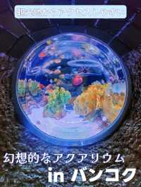 バンコク中心地にあるアクアリウム🐠