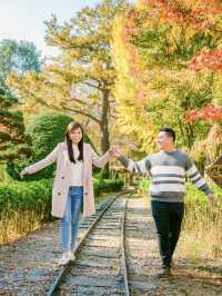 Picturesque Nami island in Fall 🍂🍁