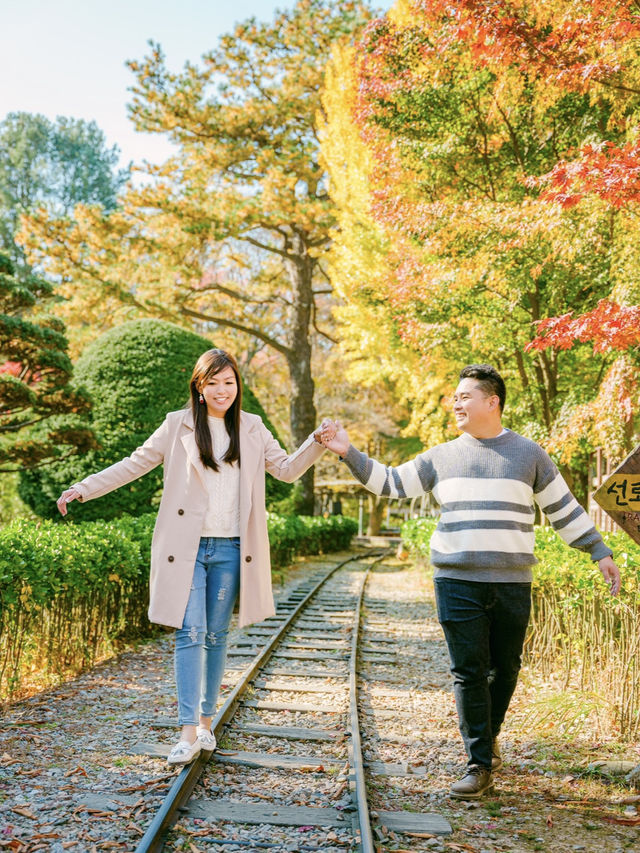 Picturesque Nami island in Fall 🍂🍁