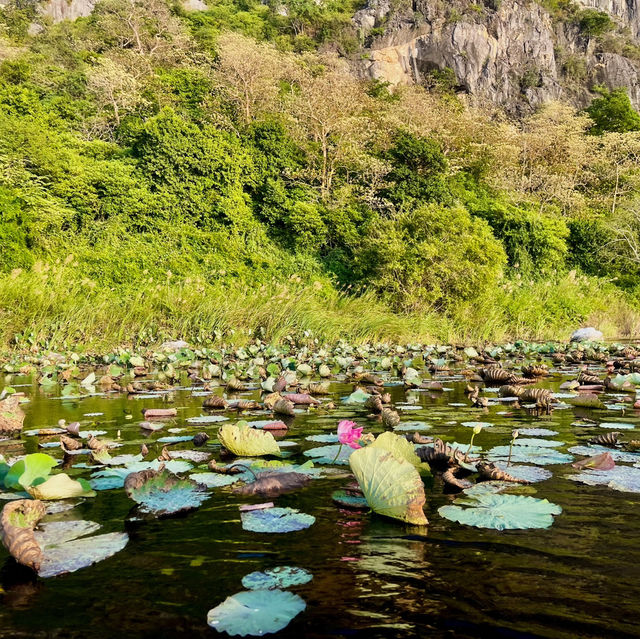 นั่งเรือชมวิวที่บึงบัวสามร้อยยอด🌿💦