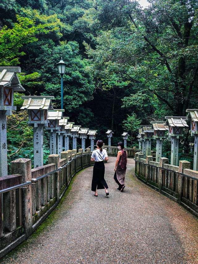 【三重】神秘的な歴史と自然が調和するパワースポット⛩✨