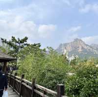 ชิงเต่า  เที่ยว เขา Laoshan