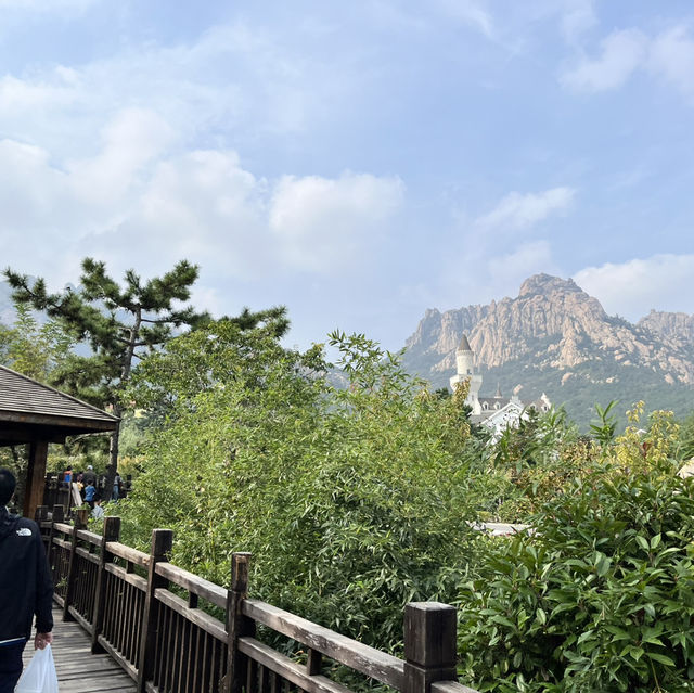 ชิงเต่า  เที่ยว เขา Laoshan