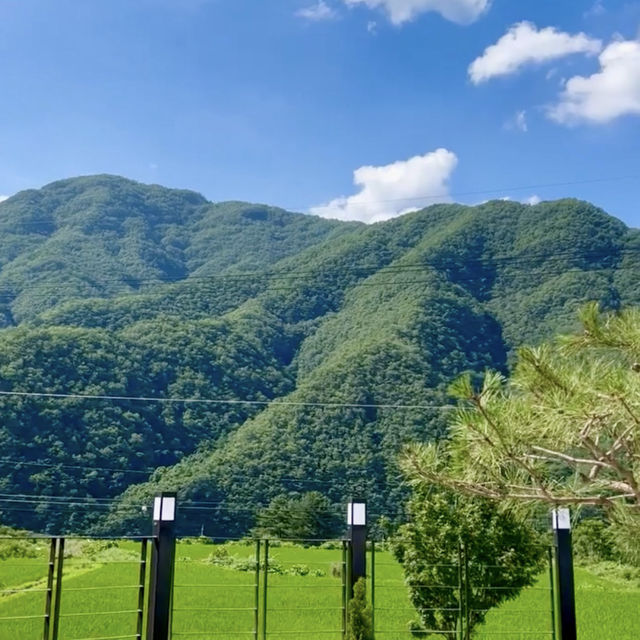 오픈카가 있는 숲뷰 홍천카페💚