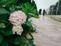 อุทยานแห่งชาติดอยอินทนนท์ จังหวัดเชียงใ