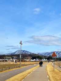 자작나무 숲길이 아름다운 남양주 한강 힐링 장소🏞