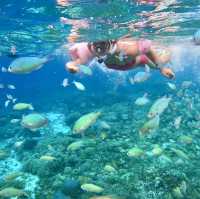 보홀여행의 필수 발리카삭 호핑투어 스노클링 🌴🐟🐠