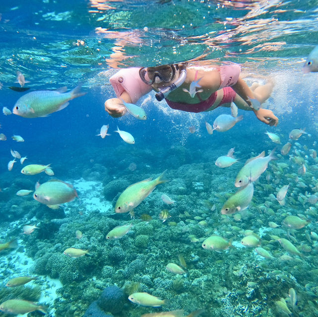 보홀여행의 필수 발리카삭 호핑투어 스노클링 🌴🐟🐠