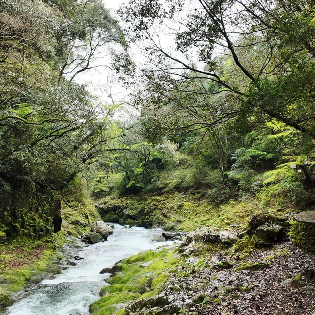 三室峽：自然詩篇 🌊🏞️