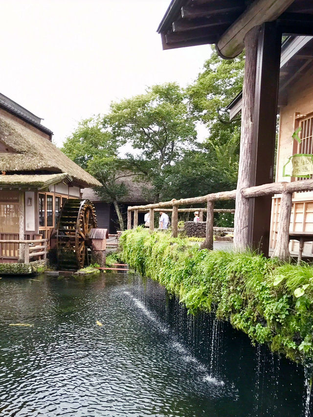 【山梨　おすすめ穴場観光スポット】