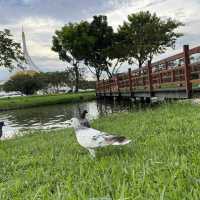 หลบร้อน พักใจ ที่สวนหลวง