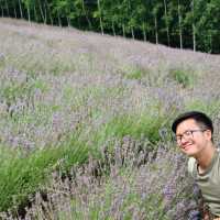 Flowering your summer in Hokkaido with Lavender, Melons