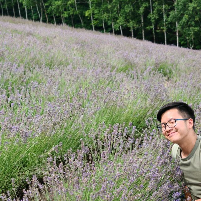 Flowering your summer in Hokkaido with Lavender, Melons