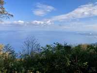【大分】猿で有名な高崎山の絶景✨