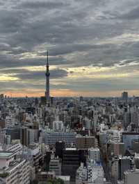🇯🇵 東京成日機場出發 超美性價比酒店🗼