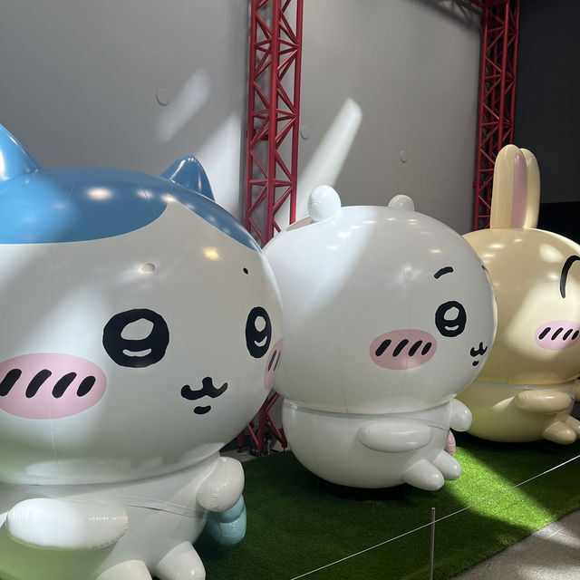 치이카와 좋아하는 분👋