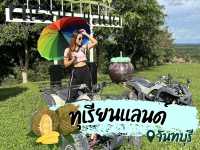 ทุเรียนแลนด์ สวนสวยคาเฟ่ดังแอดเวนเจอร์ดี