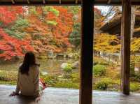 【京都】庭園のある絶景紅葉の穴場スポット