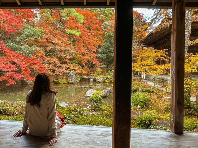 【京都】庭園のある絶景紅葉の穴場スポット