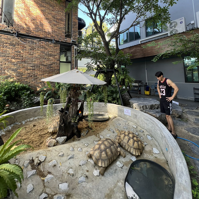 🌳คาเฟ่ในกรุงเทพฯ ฟีลเขาใหญ่ อาหารอร่อย