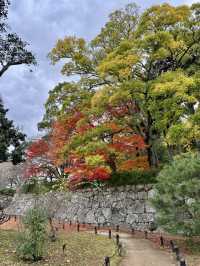天守が築かれなかった篠山城。
