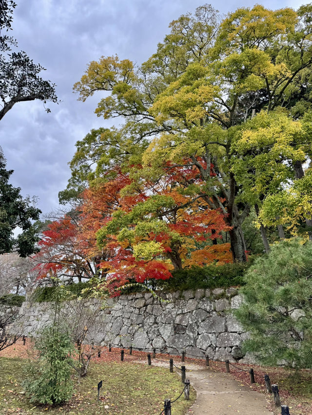 天守が築かれなかった篠山城。