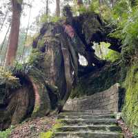 Explore the magical Alishan, Taiwan