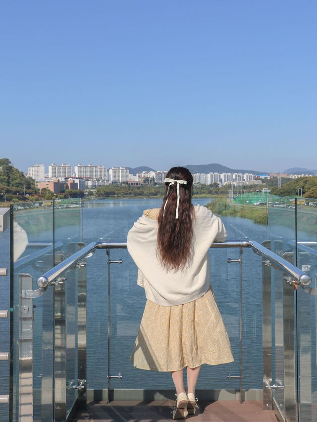 아름답게 물들 가을이 기대되는 대구 동구 여행🤎