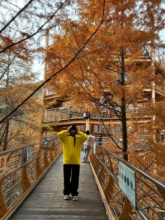 인생샷 포토존이 있는 대전 가을여행