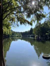 ［桃園旅遊］桃園小秘境-山豬湖生態親水園區🌿🍃🍁🍂