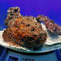 @ THE LOTTE WORLD AQUARIUM.