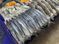 ตลาดประมงพื้นบ้าน อ่างศิลา