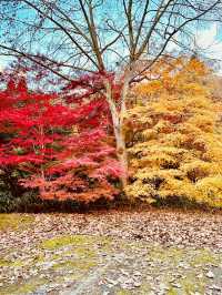 【茨城　花貫渓谷】