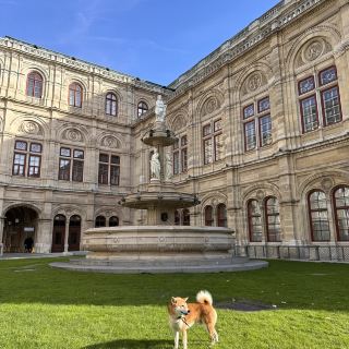 Vienna 3 Days Travel Guide 