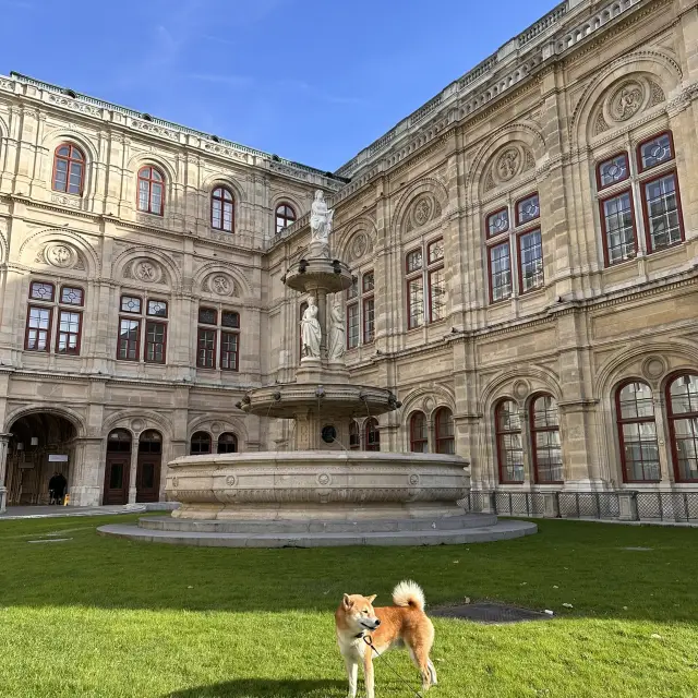 คู่มือท่องเที่ยวเวียนนา 3 วัน