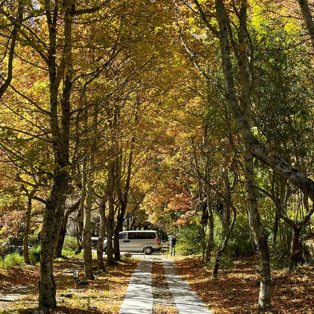 Discover the beauty of Wuling Farm in Taiwan