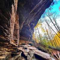 Pisgah National Forest