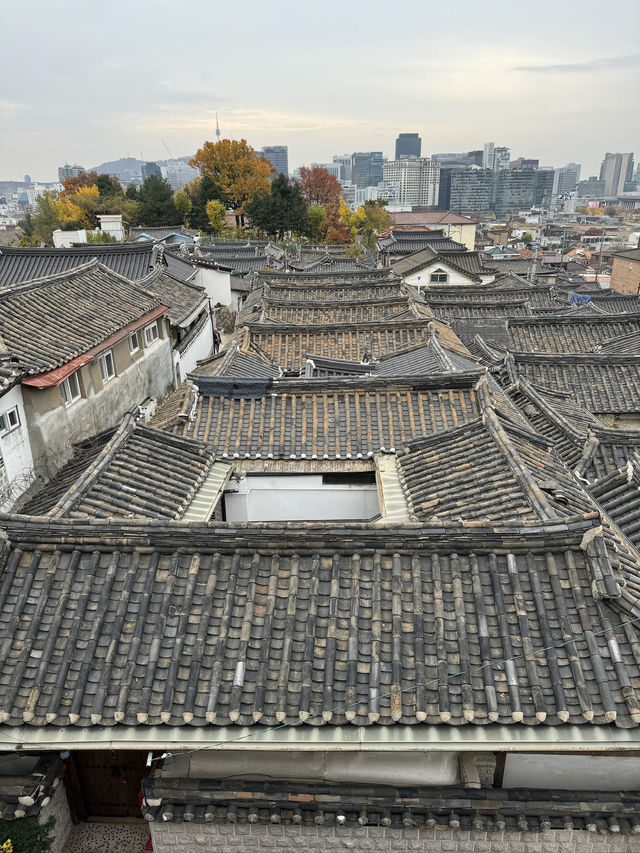 【韓国旅行】ソウル／展望台カフェから眺める北村韓屋村